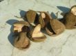 boeddha noten groot naturel